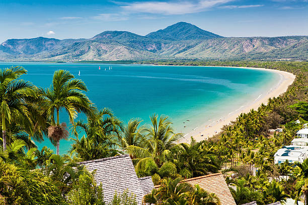 Drive the nature with Cairns to Port Douglas Bus